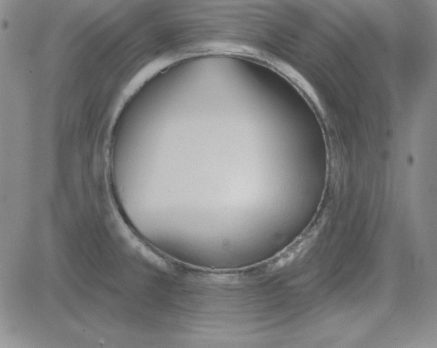 X0000080771381200701021110