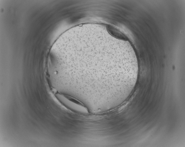 X0000080771382200701021110