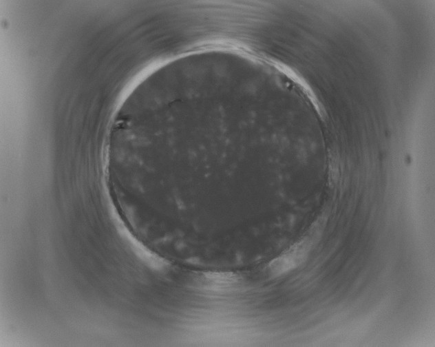 X0000080771383200701021110