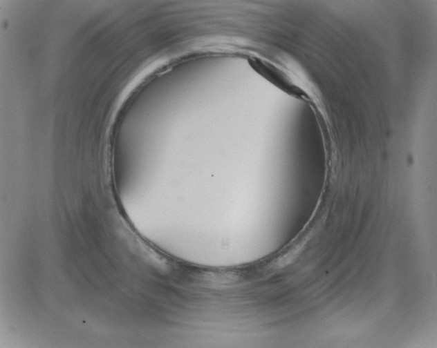 X0000080771384200701021110