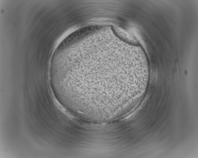 X0000080771386200701021110