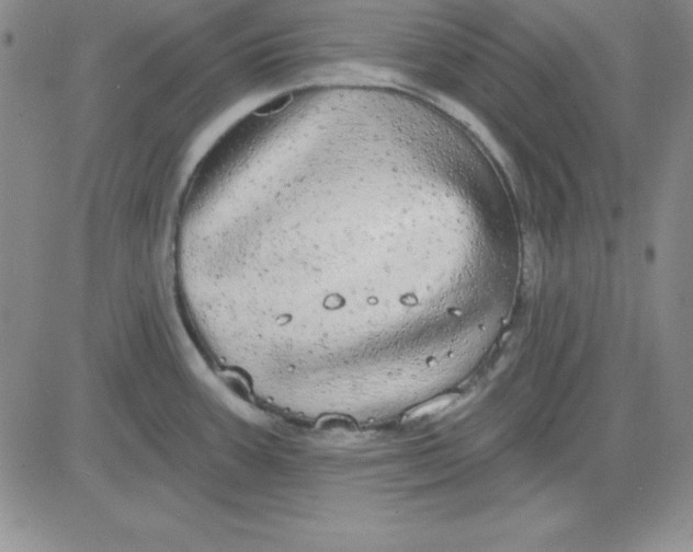 X0000080771387200701021110