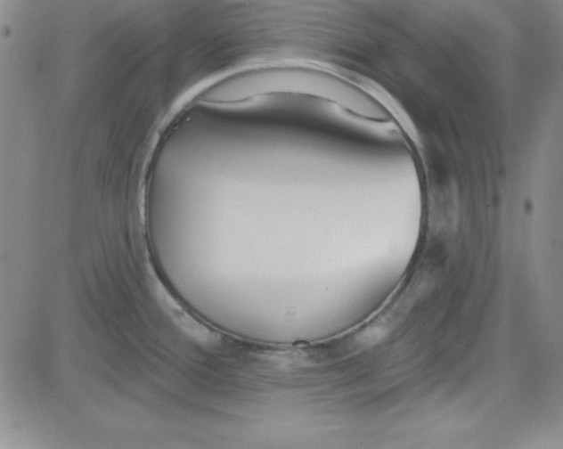 X0000080771388200701021110