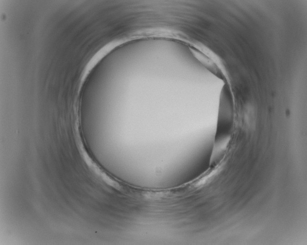 X0000080771389200701021110