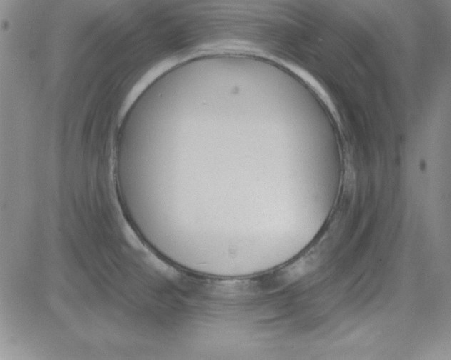 X0000080771390200701021110