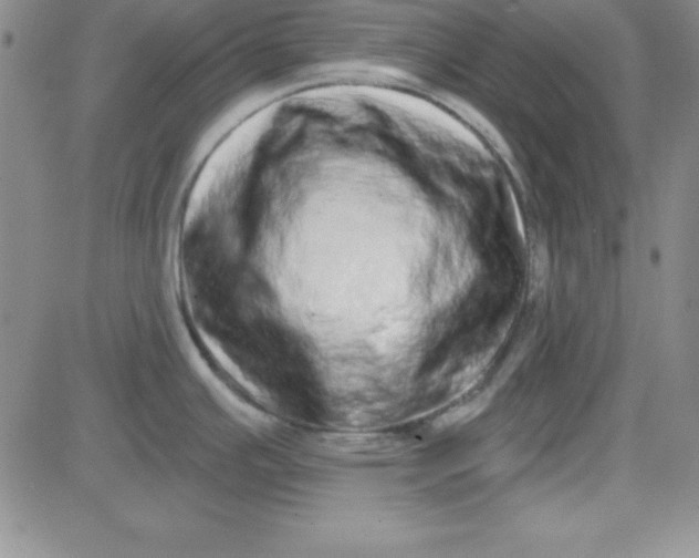 X0000080771391200701021110