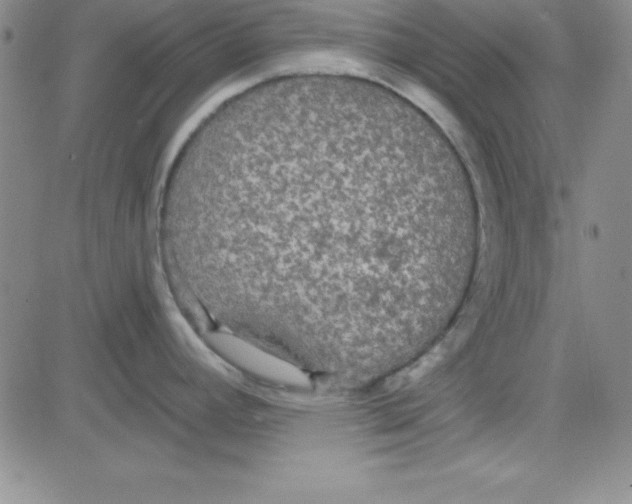 X0000080771392200701021110