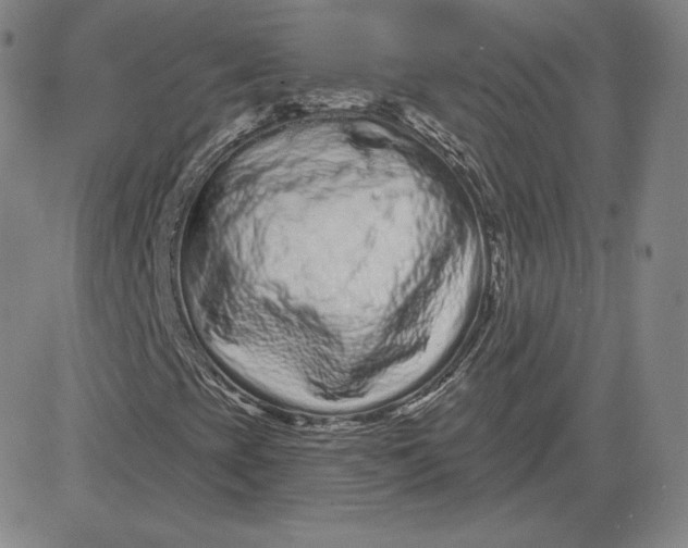 X0000080771393200701021109