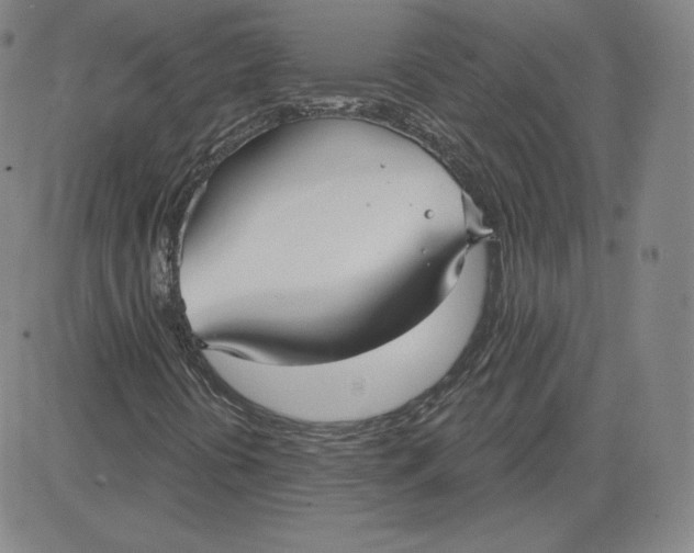 X0000080771394200701021109