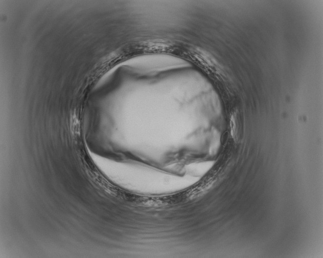 X0000080771395200701021109