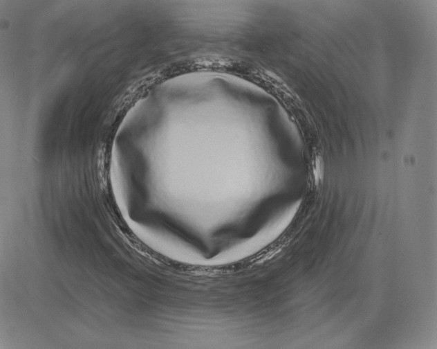 X0000080771396200701021109