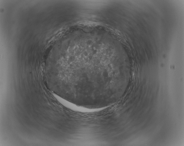 X0000080771397200701021109