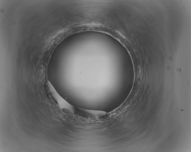 X0000080771398200701021109