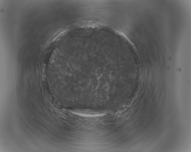 X0000080771399200701021109