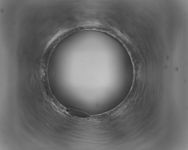 X0000080771400200701021109