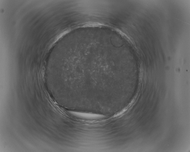 X0000080771401200701021109