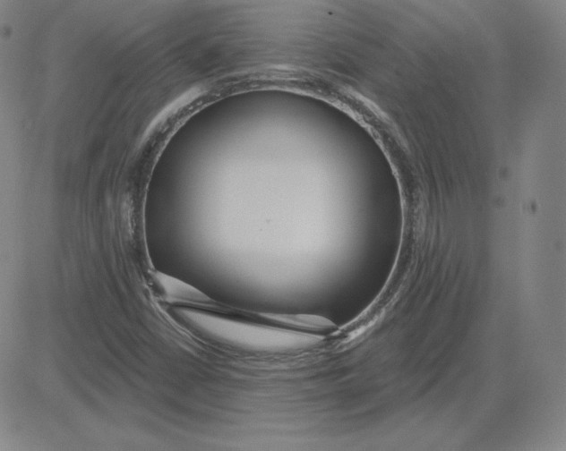 X0000080771402200701021109