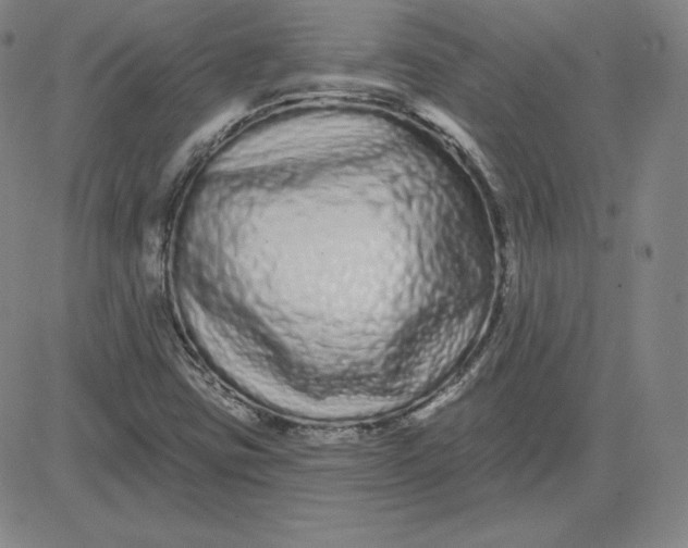 X0000080771403200701021109