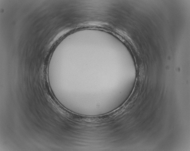 X0000080771404200701021109