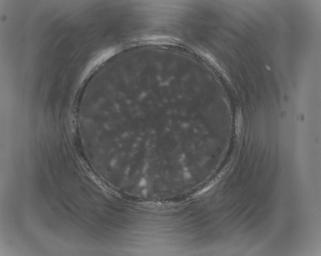 X0000080771405200701021109