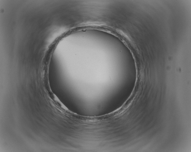 X0000080771406200701021109