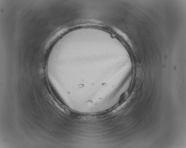 X0000080771407200701021109