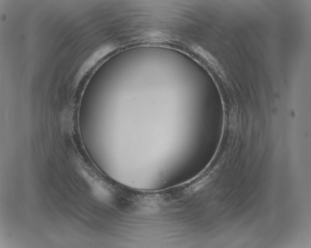 X0000080771410200701021110