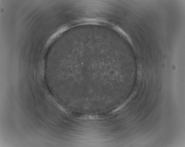 X0000080771411200701021110