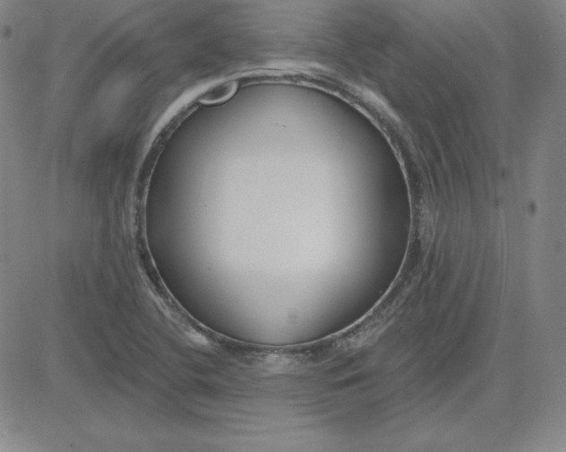 X0000080771412200701021110