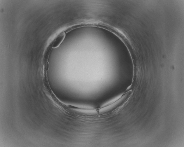 X0000080771414200701021110