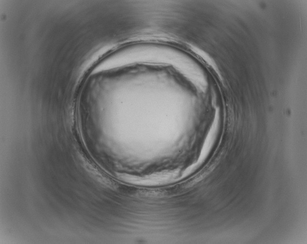 X0000080771415200701021110