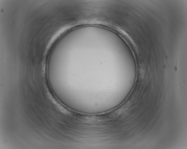 X0000080771416200701021110