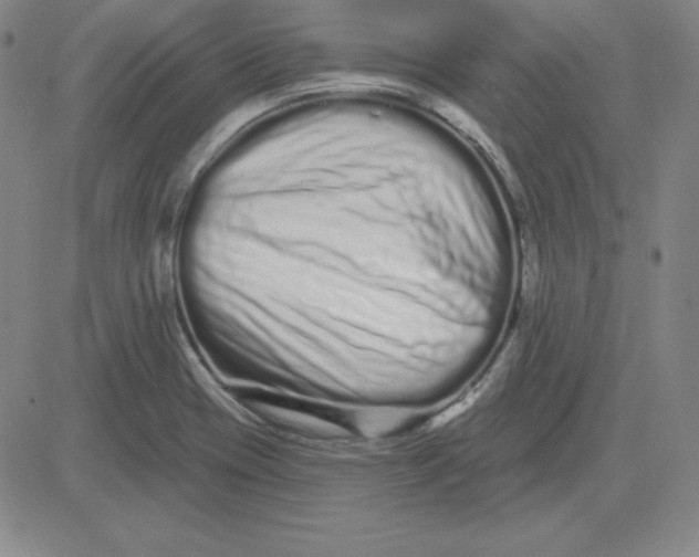 X0000080771417200701021110