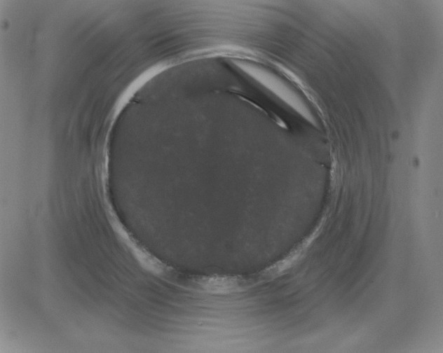 X0000080771418200701021110