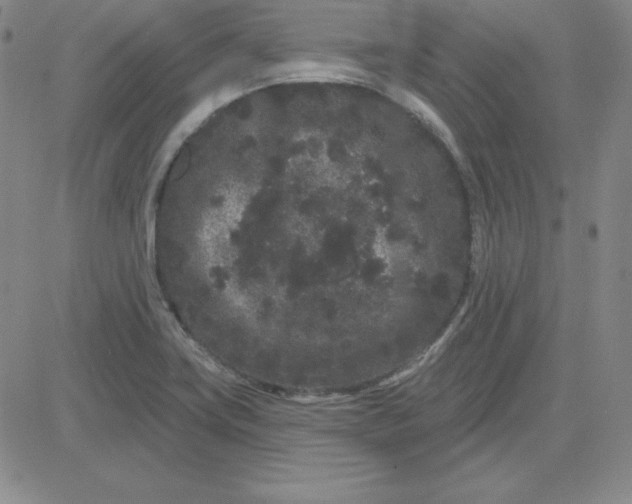 X0000080771419200701021110