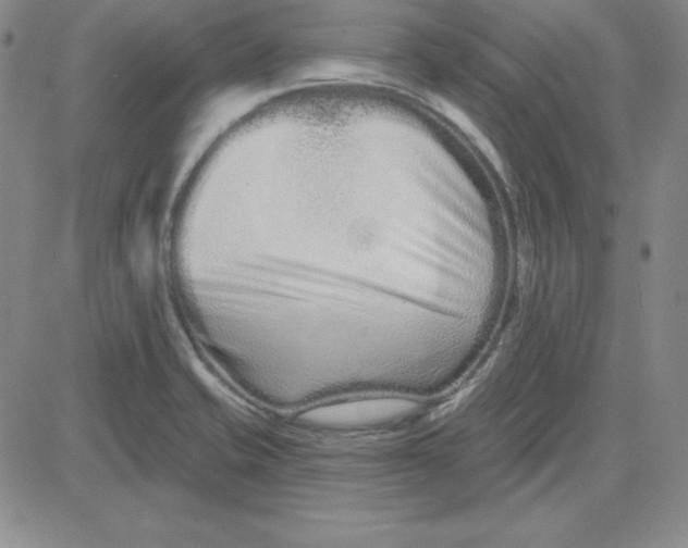 X0000080771421200701021110