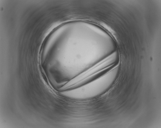 X0000080771423200701021110