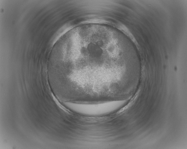 X0000080771425200701021110