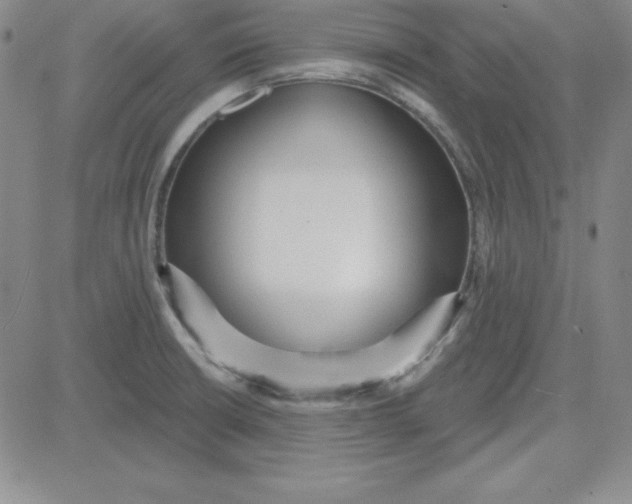 X0000080771426200701021110