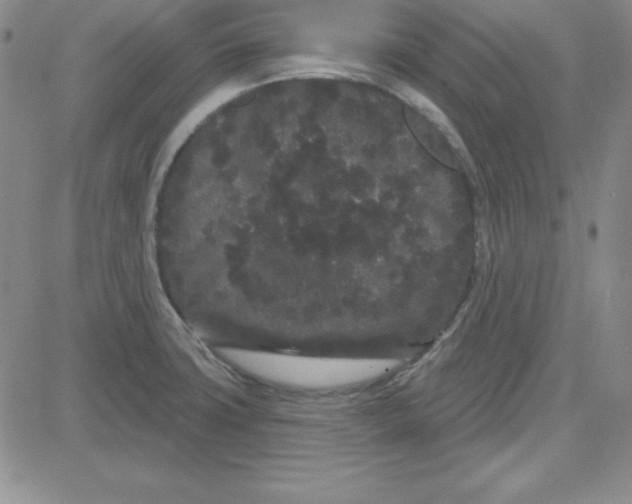 X0000080771427200701021110