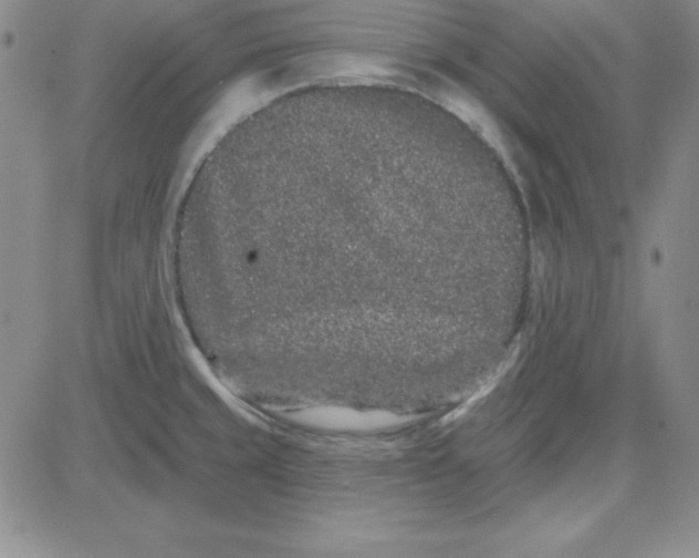 X0000080771429200701021110