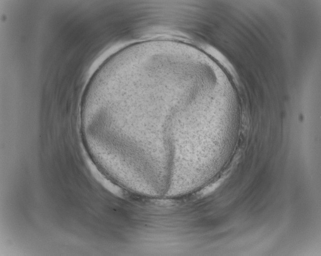 X0000080771431200701021110