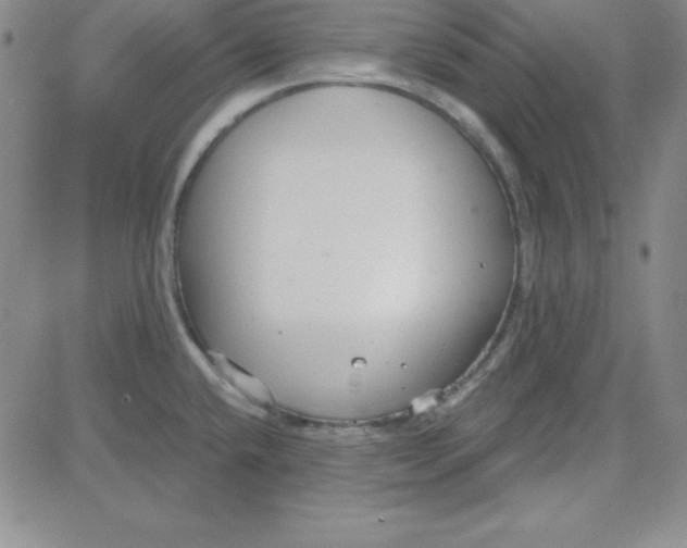 X0000080771432200701021110