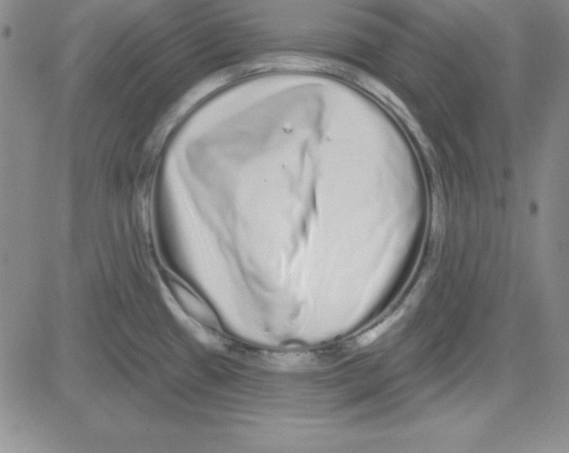 X0000080771433200701021110