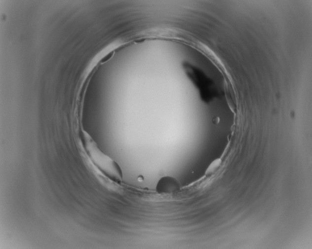 X0000080771434200701021110