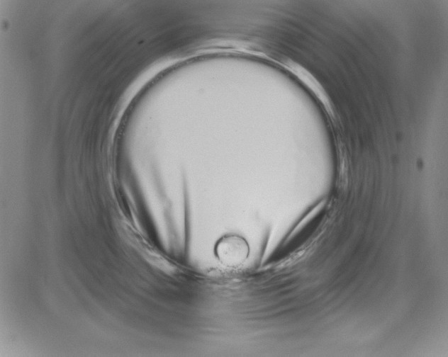 X0000080771435200701021110