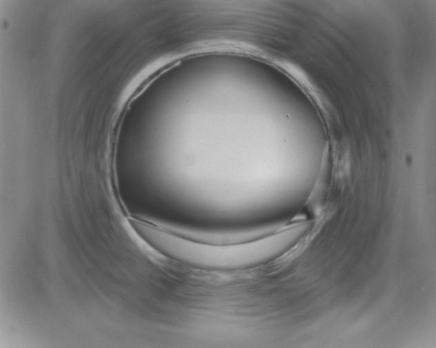 X0000080771438200701021110