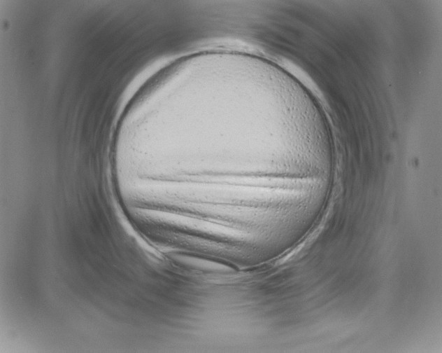 X0000080771440200701021110