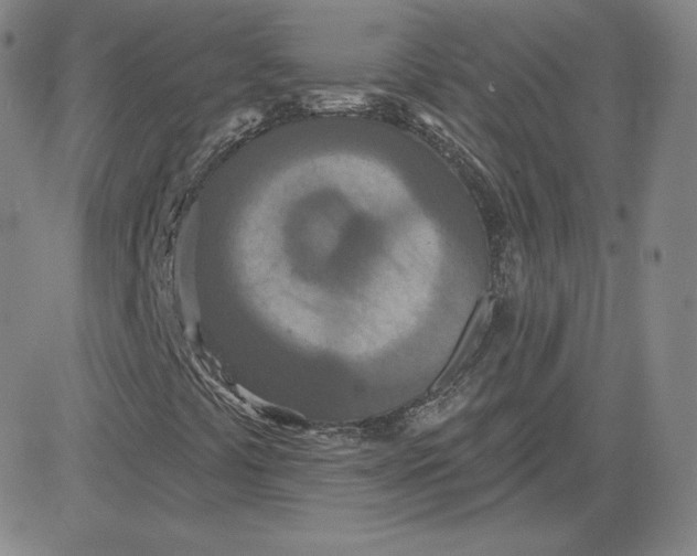 X0000080771441200701021109