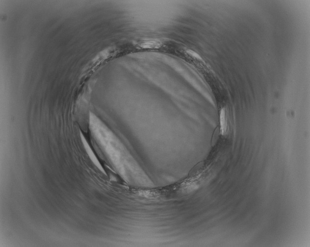 X0000080771443200701021109